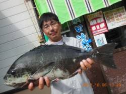 三尾の磯、５４ｃｍの口太グレに感動！