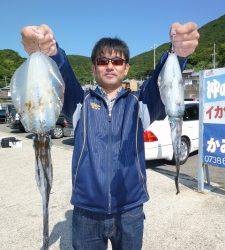 神谷工場裏アオリ狙えます！ヤエンで8ハイ