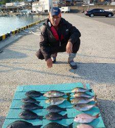 ヒラバエでフカセ釣り＆かご釣り、色々な魚種が釣れています