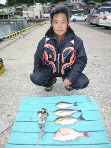 神谷沖一文字でエギング&カゴ釣り釣果