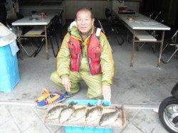 長磯でグレ・アイゴ　〜フカセでの釣果〜