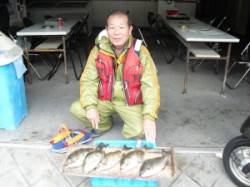 長磯でグレ・アイゴ　〜フカセでの釣果〜