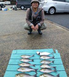 雨の神谷沖一文字でカゴ釣り　イサギにスマガツオ