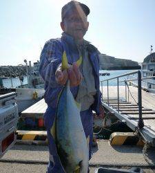 すいこみ釣りでハマチ、惜しくも一本バラしました…