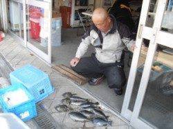 ジロー磯でフカセ釣り、グレ＆カワハギの釣果