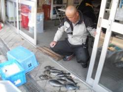 ジロー磯でフカセ釣り、グレ＆カワハギの釣果…