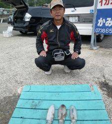 工場裏でのヤエン釣果、アオリイカ快釣♪