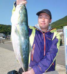 神谷一文字で飲ませ釣り、メジロ75cm