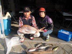 カンゴバエ、74cmのマダイ！！アイゴも好釣でした♪