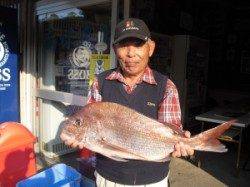 カンゴバエ、74cmのマダイ！！アイゴも好釣でした♪