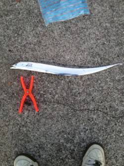 南芦屋浜でワインド、6時前に待望のヒット