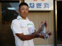 快釣！湯浅のアオリイカ★新子36ハイ★