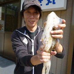 本日もアオリイカ　〜HITカラーはレッド　グリーン〜