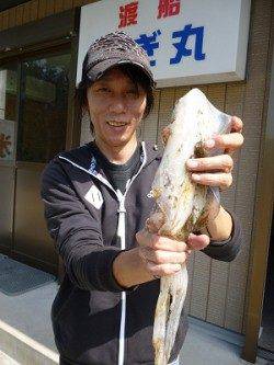 本日もアオリイカ　〜HITカラーはレッド　グリーン〜