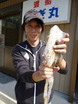 本日もアオリイカ　〜HITカラーはレッド　…