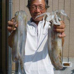 湯浅の磯でヤエン釣り、アオリイカ5ハイ