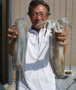 湯浅の磯でヤエン釣り、アオリイカ5ハイ