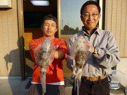 湯浅の磯　ヤエンのアオリ、サイズUPしてきています