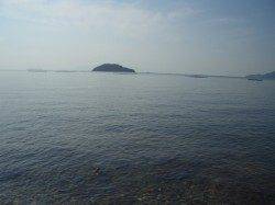 鰯浜漁港　タチウオ＆カレイ狙いで釣行