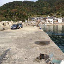 大引漁港でエギング、夕方から朝までの釣果
