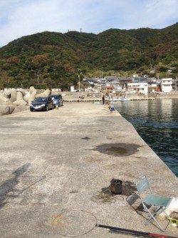 大引漁港でエギング、夕方から朝までの釣果