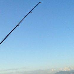 カレイを釣りに須磨にいきました