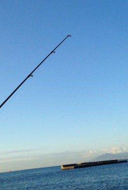 カレイを釣りに須磨にいきました