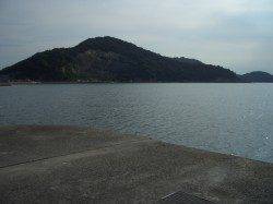 岩見港、サビキで豆アジの釣果