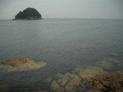 鰯浜漁港ルアーでタチウオ　ガツ―ンとヒット！