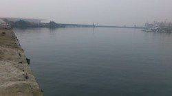 明石港でエギング…釣果はイイダコでした