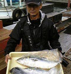 岸和田一文字　のませでハマチ60cm