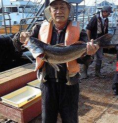 沖一文字北、のませでメジロ＆スズキ