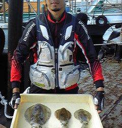 沖一文字カーブ、エギングでアオリ最大胴長24cm