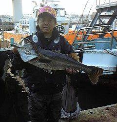 沖一文字北、のませでスズキ80センチ