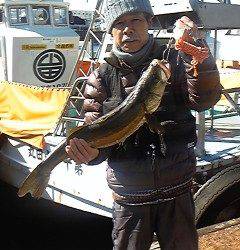 沖一文字白灯でのませ釣り、70cmのスズキをキャッチ