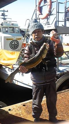 沖一文字白灯でのませ釣り、70cmのスズキをキャッチ