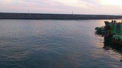 須磨の投げ釣りでカレイ狙い、釣果はチャリコのみ