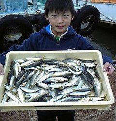 サビキKIDS釣果！アジ大漁ですヨ
