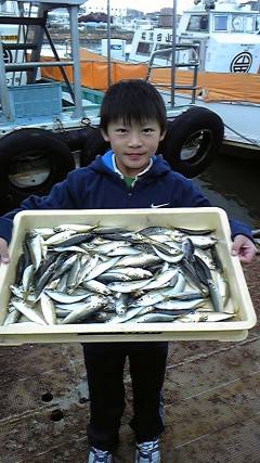 サビキKIDS釣果！アジ大漁ですヨ
