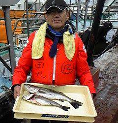 旧一文字白灯、シラサでウキ釣り　ハネ38～51センチ