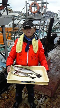 旧一文字白灯、シラサでウキ釣り　ハネ38～51センチ