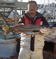 のませでスズキ70cmに青物も☆沖一文字北