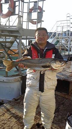 のませでスズキ70cmに青物も☆沖一文字北…