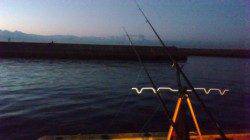 カレイ狙いで投げ釣り　釣果はアナゴでした