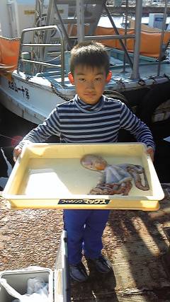 岸和田一文字　タコの釣果も出てます