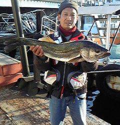 岸和田一文字　のませでメジロ＆スズキ