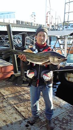 岸和田一文字　のませでメジロ＆スズキ