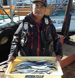 岸和田一文字　サヨリの釣果もアリ