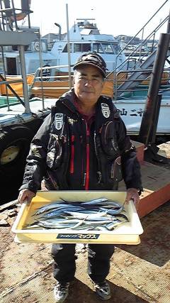 岸和田一文字　サヨリの釣果もアリ
