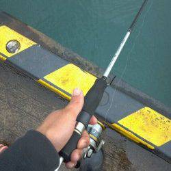 舞洲でアジングで今までにない手応えで釣れたのは